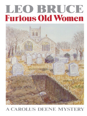 cover image of Furious Old Women